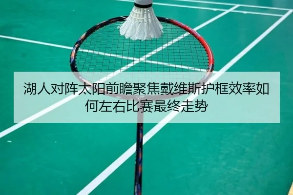湖人对阵太阳前瞻聚焦戴维斯护框效率如何左右比赛最终走势