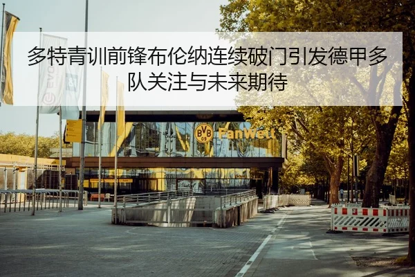 多特青训前锋布伦纳连续破门引发德甲多队关注与未来期待